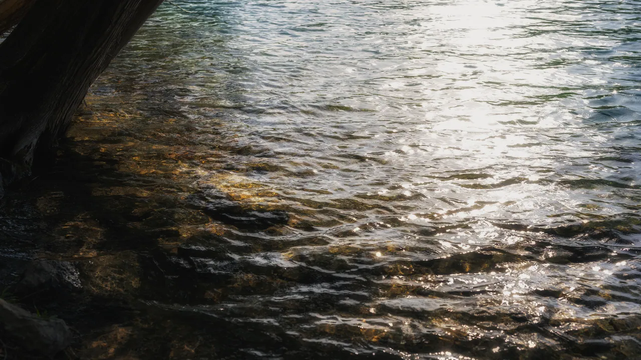 Light on the Current